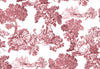 Mirabelle Wallpaper by Cristiana Masi