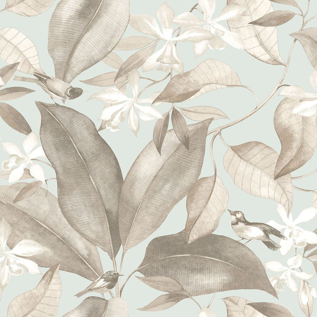 Birdsong Wallpaper