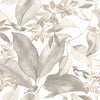 White + Taupe