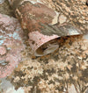 Pinecrest Wallpaper by Holden Decor