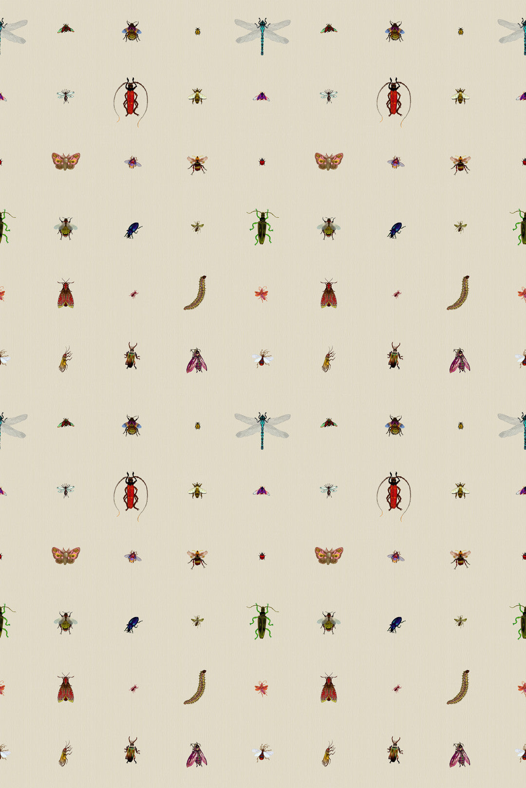 Insect Grid Wallpaper