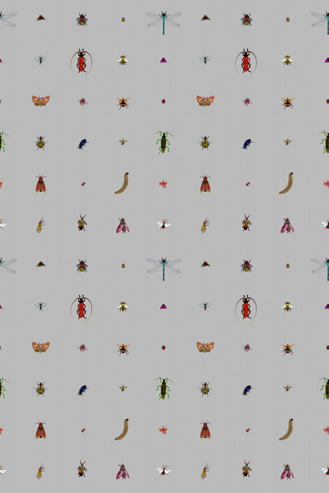 Insect Grid Wallpaper