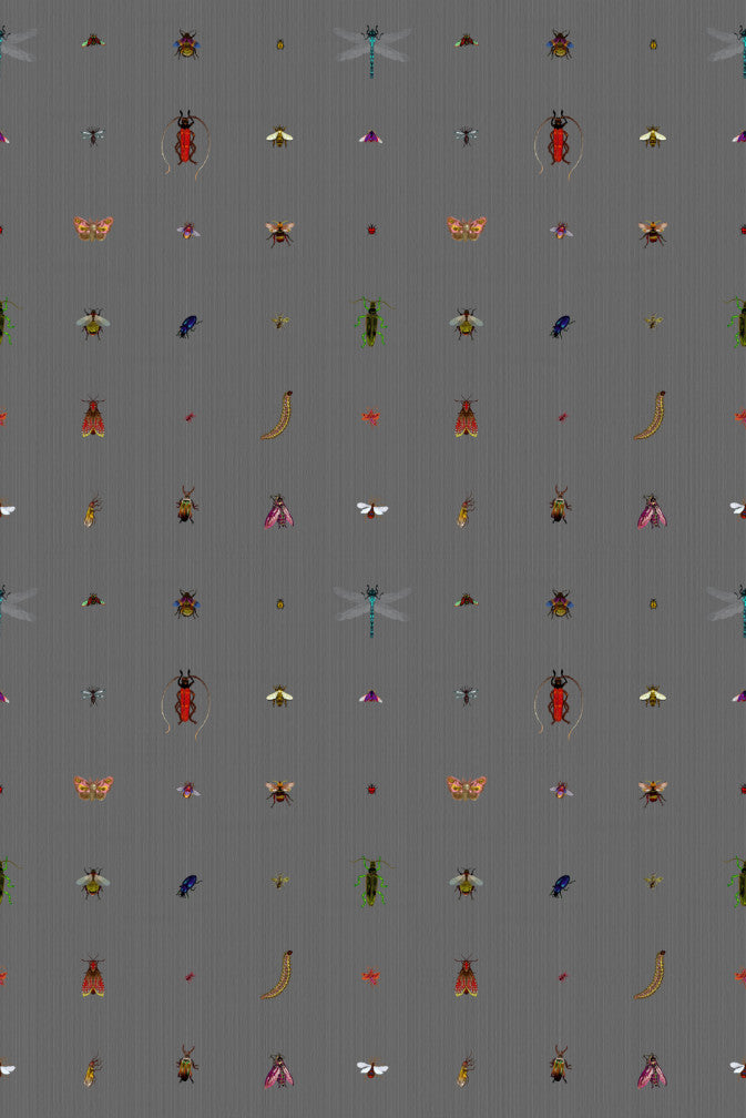 Insect Grid Wallpaper