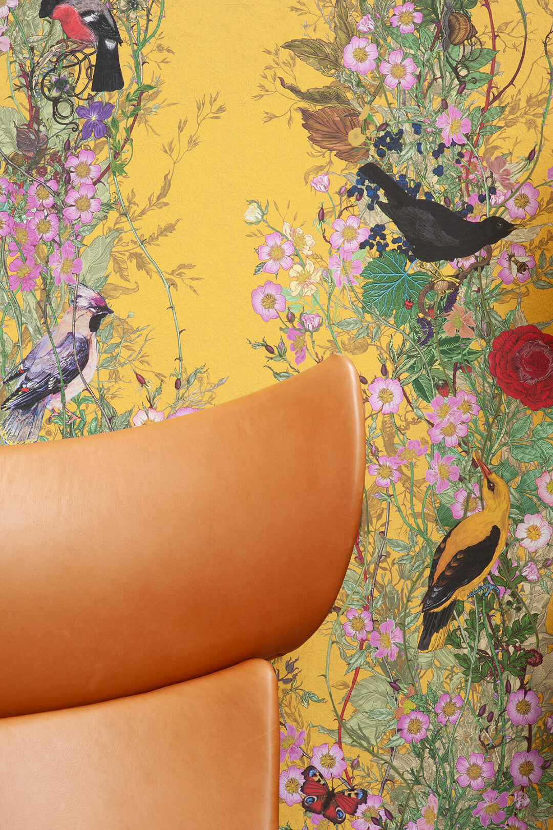 Fruit Looters Wallpaper by Timorous Beasties