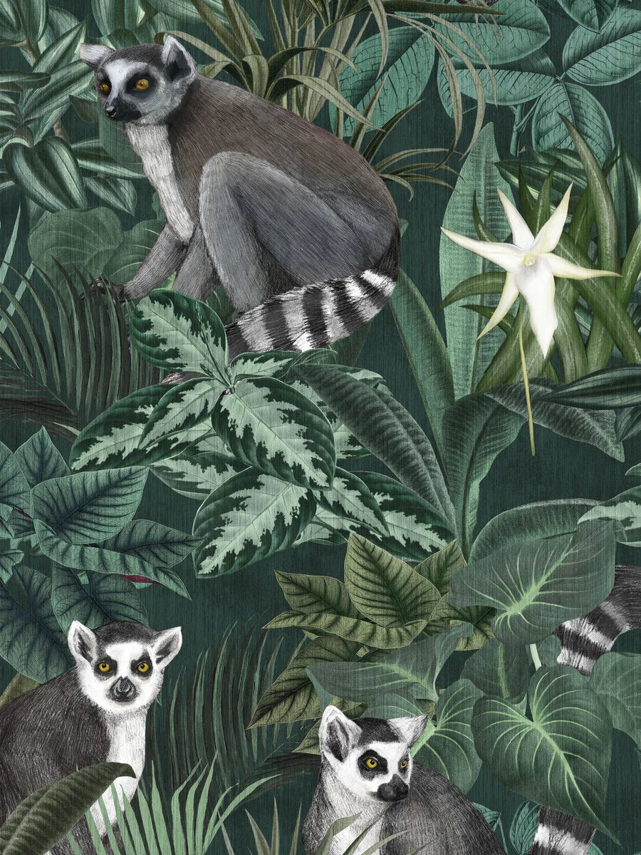 Madagascar wallpaper mural by BoråsTapeter