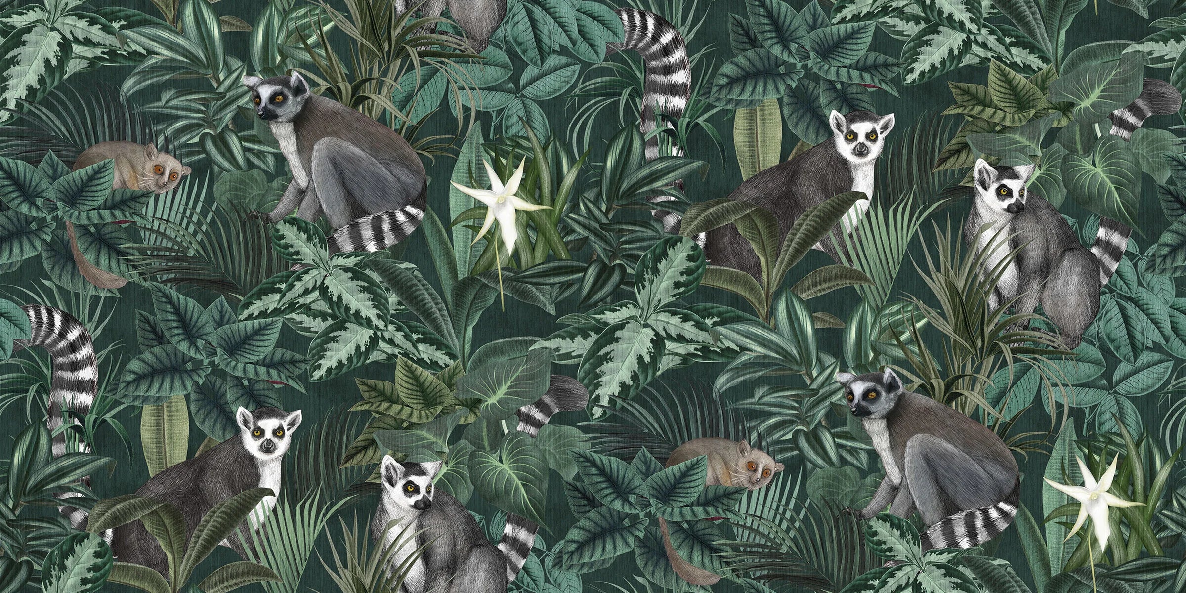 Madagascar wallpaper mural by BoråsTapeter