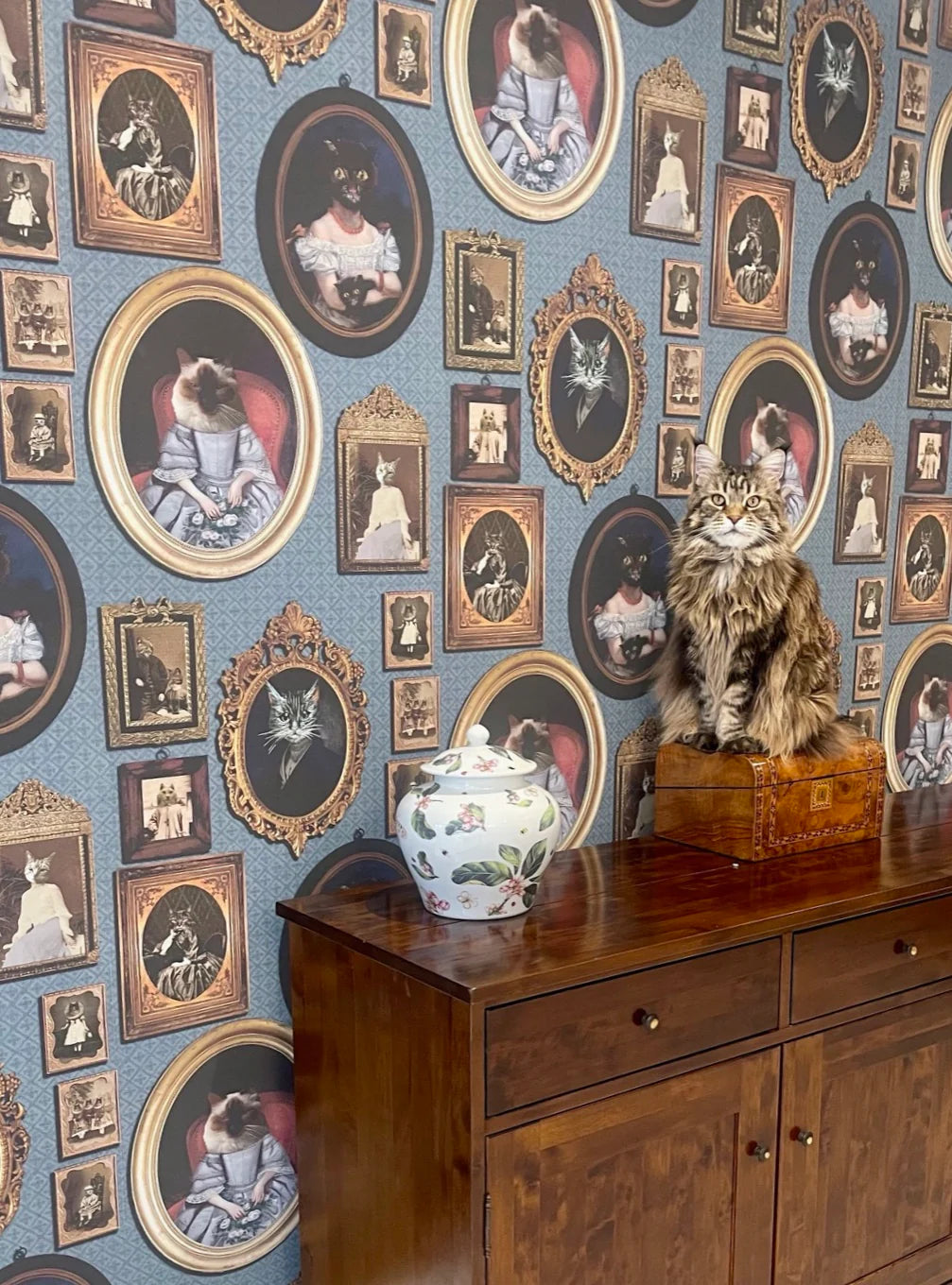 A Cavalcade of Cats Wallpaper by Graduate Collection