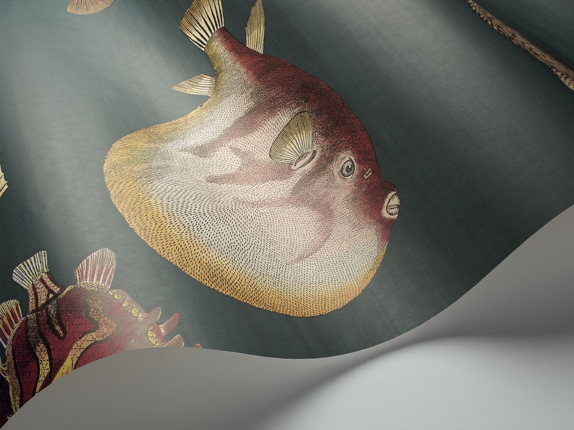 Acquario Wallpaper by Cole & Son