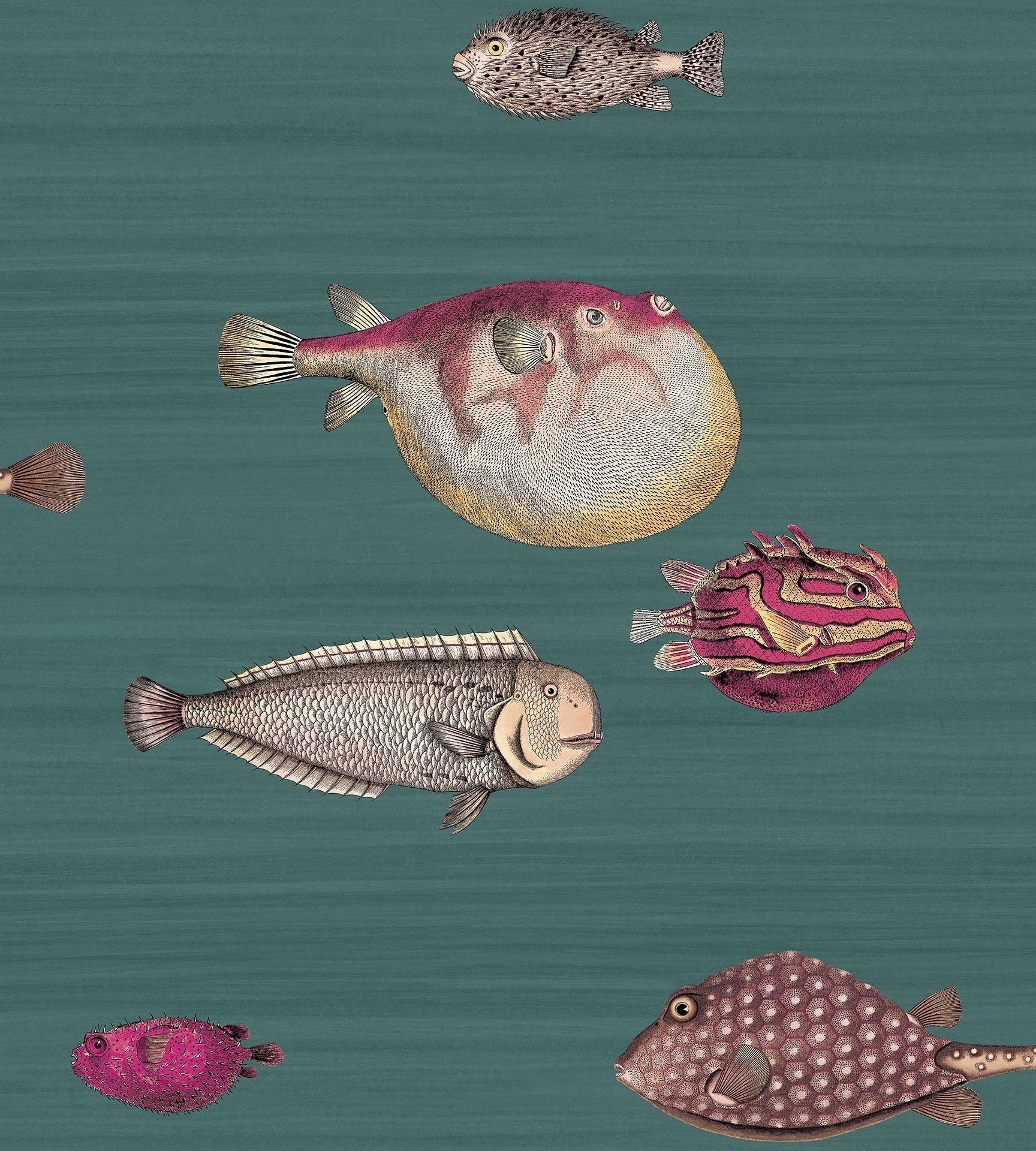 Acquario Wallpaper by Cole & Son