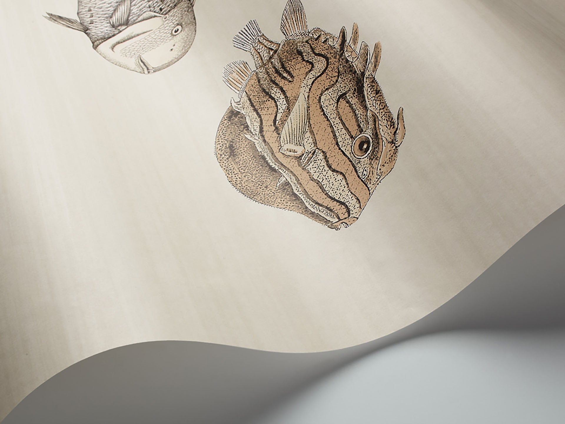 Acquario Wallpaper by Cole & Son