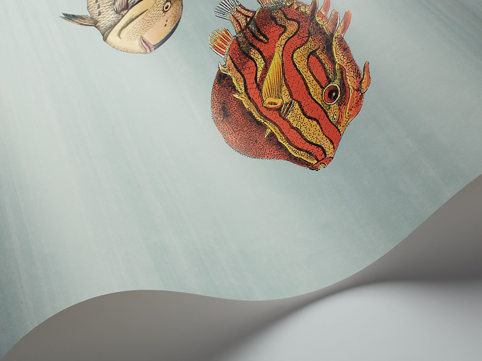 Acquario Wallpaper by Cole & Son