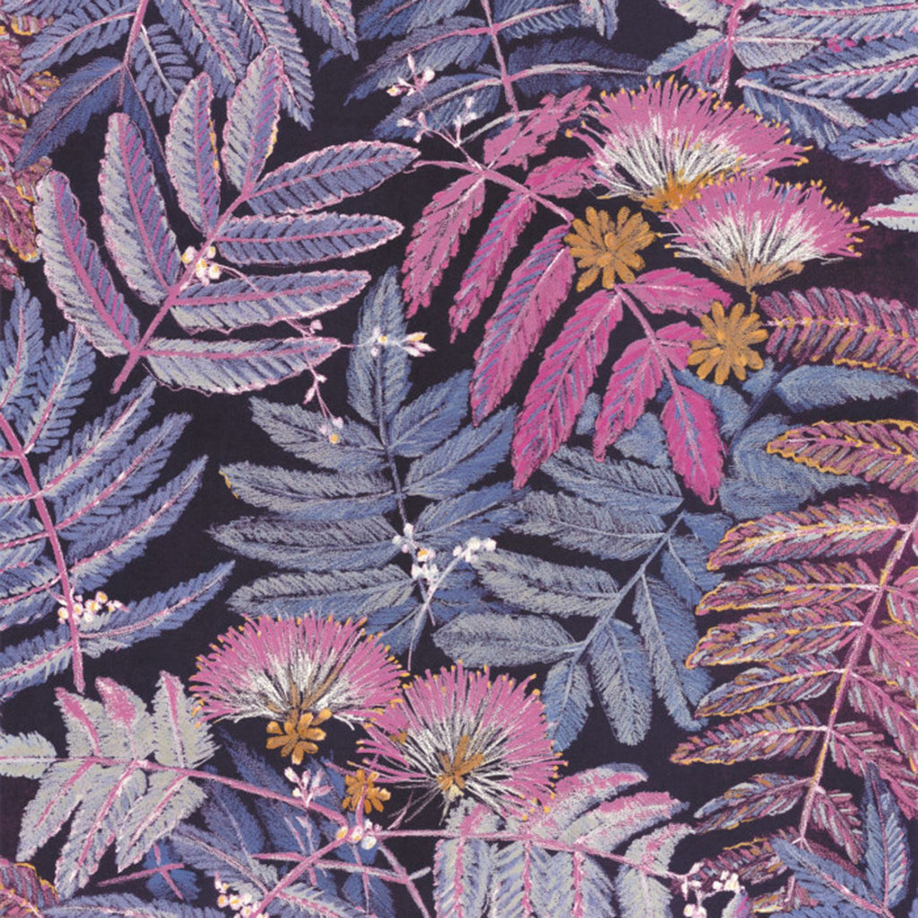 Albizia Wallpaper