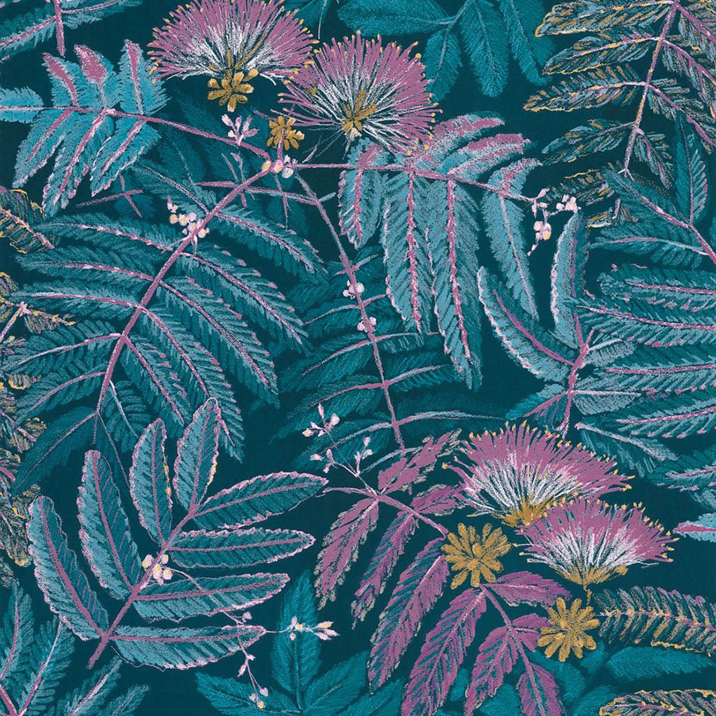 Albizia Wallpaper