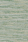 Fern