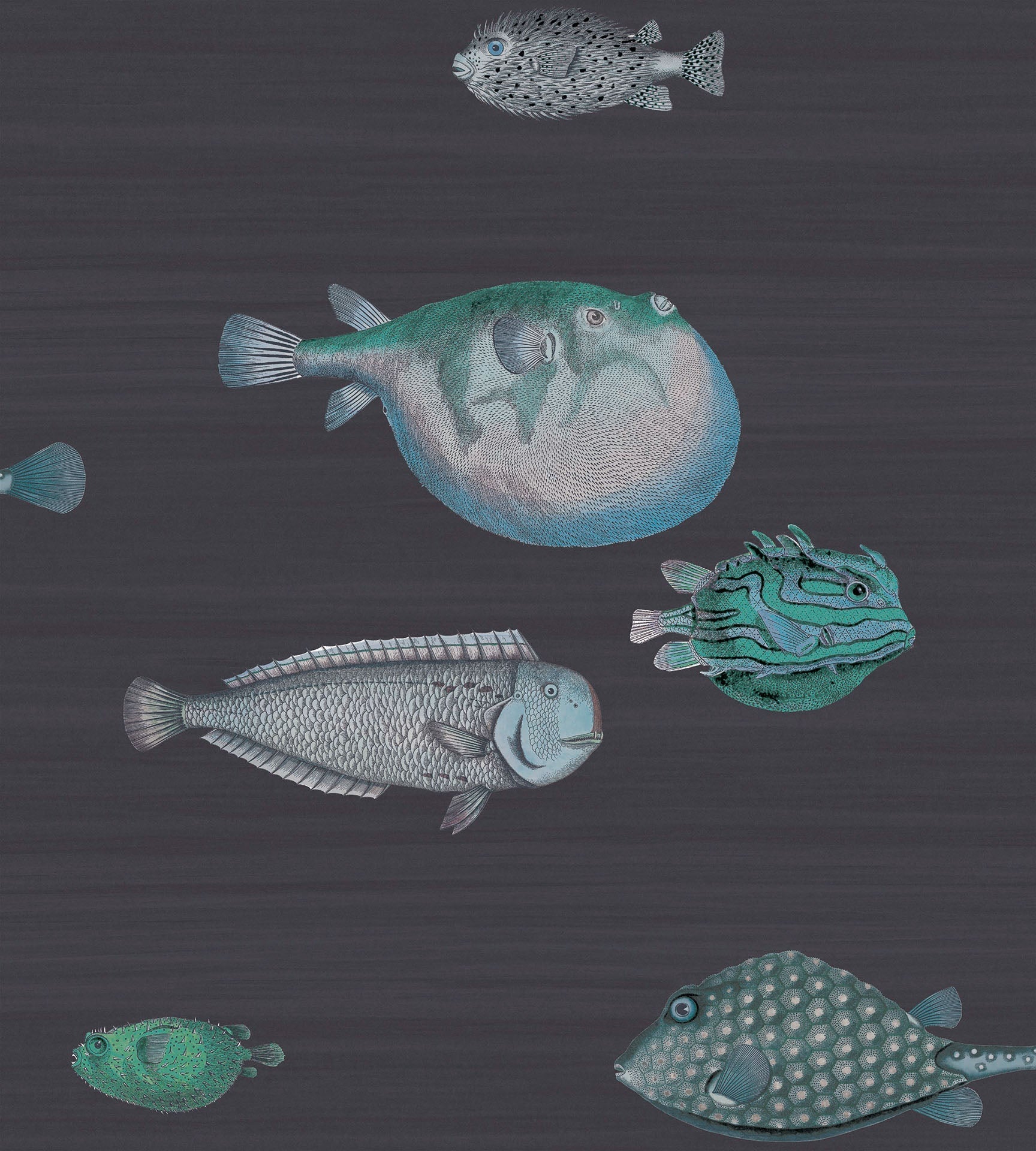 Acquario Wallpaper by Cole & Son