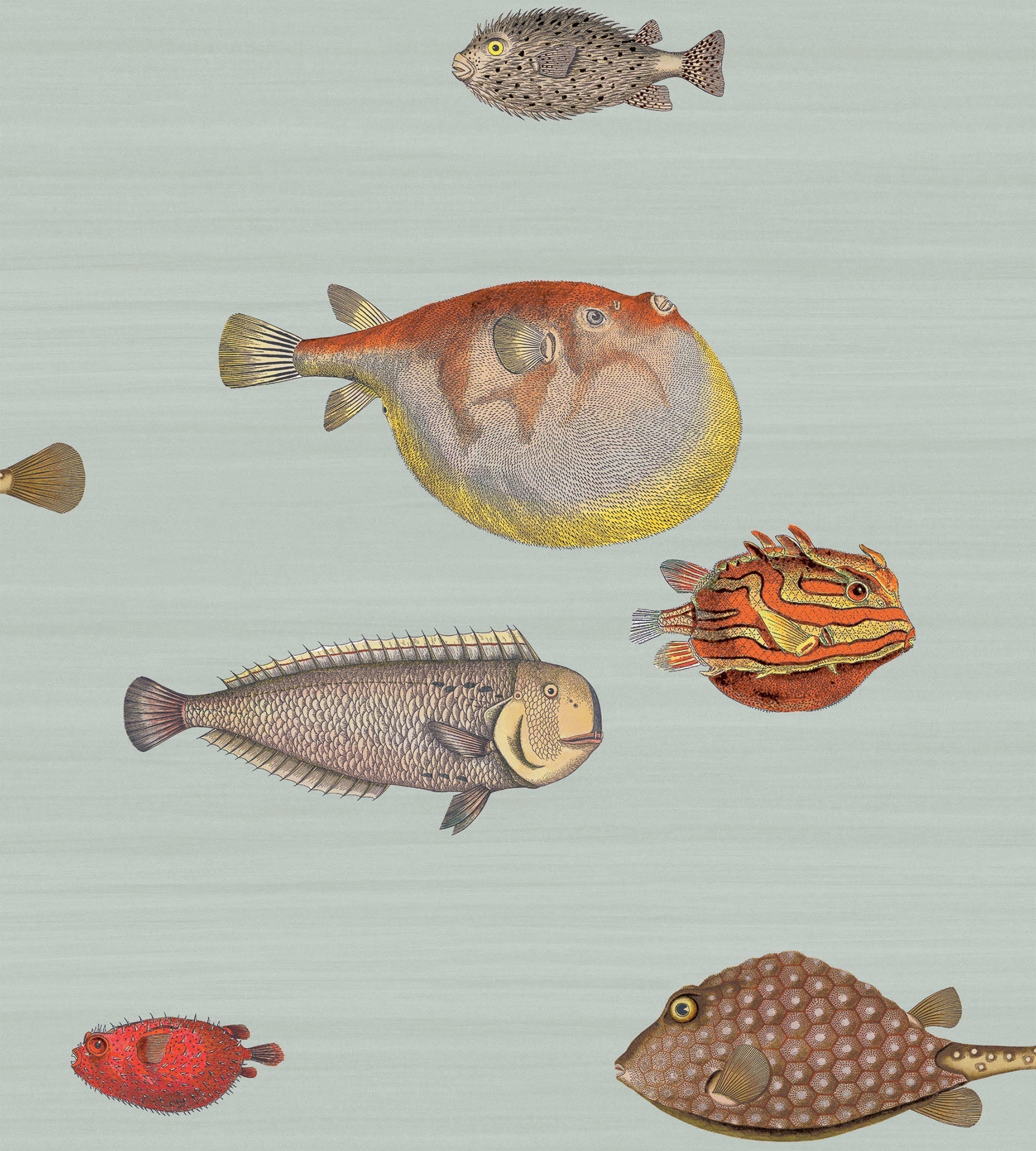 Acquario Wallpaper by Cole & Son