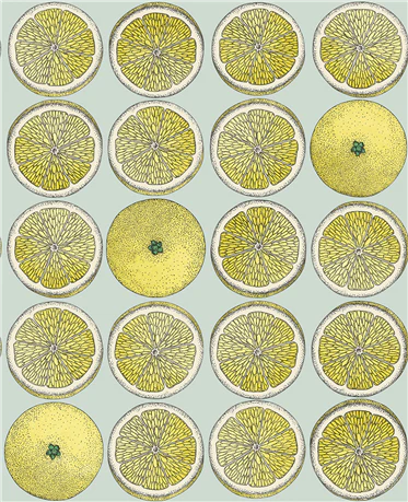 Arance Wallpaper by Cole & Son