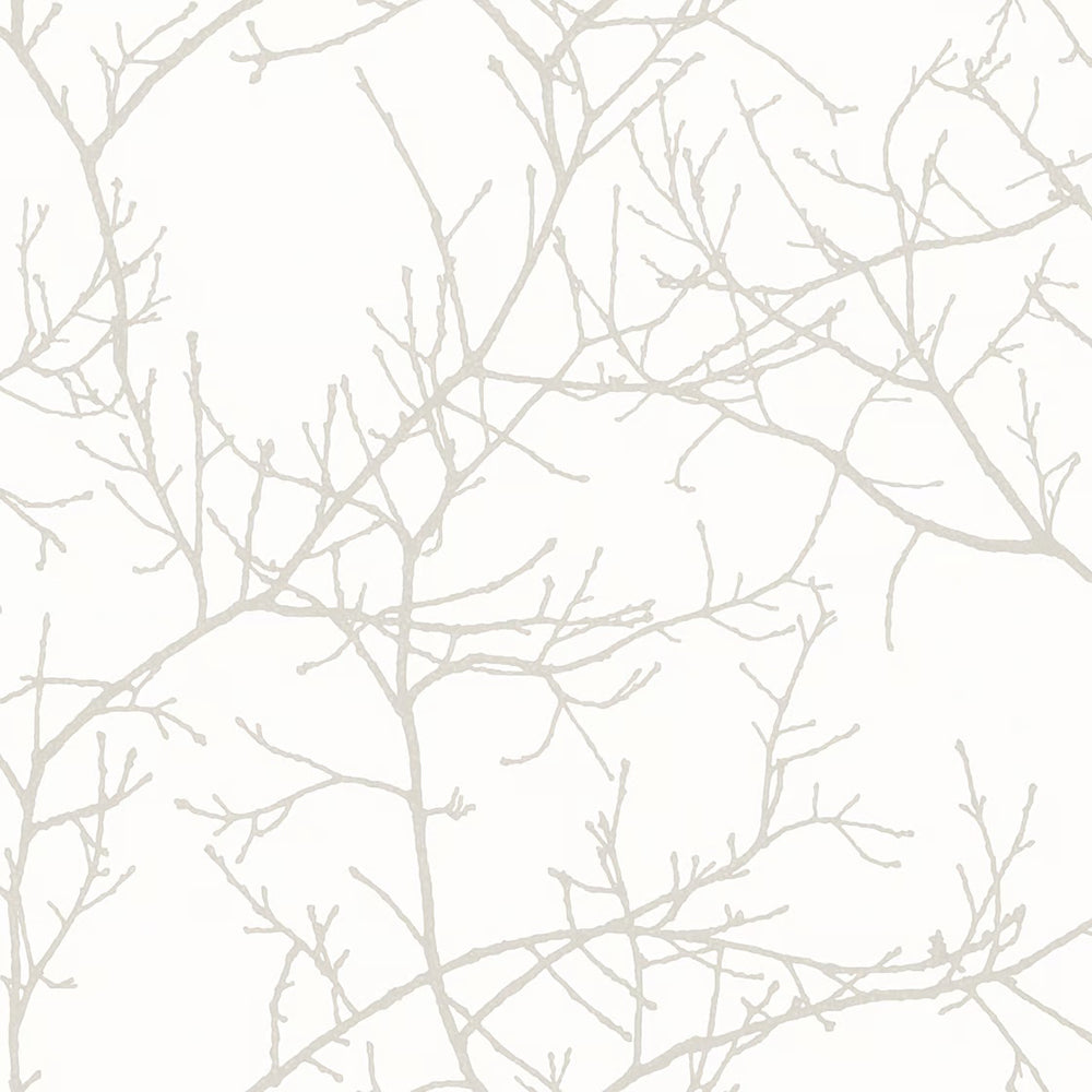 Arbre Branch Wallpaper
