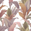 Blush/White/Plum