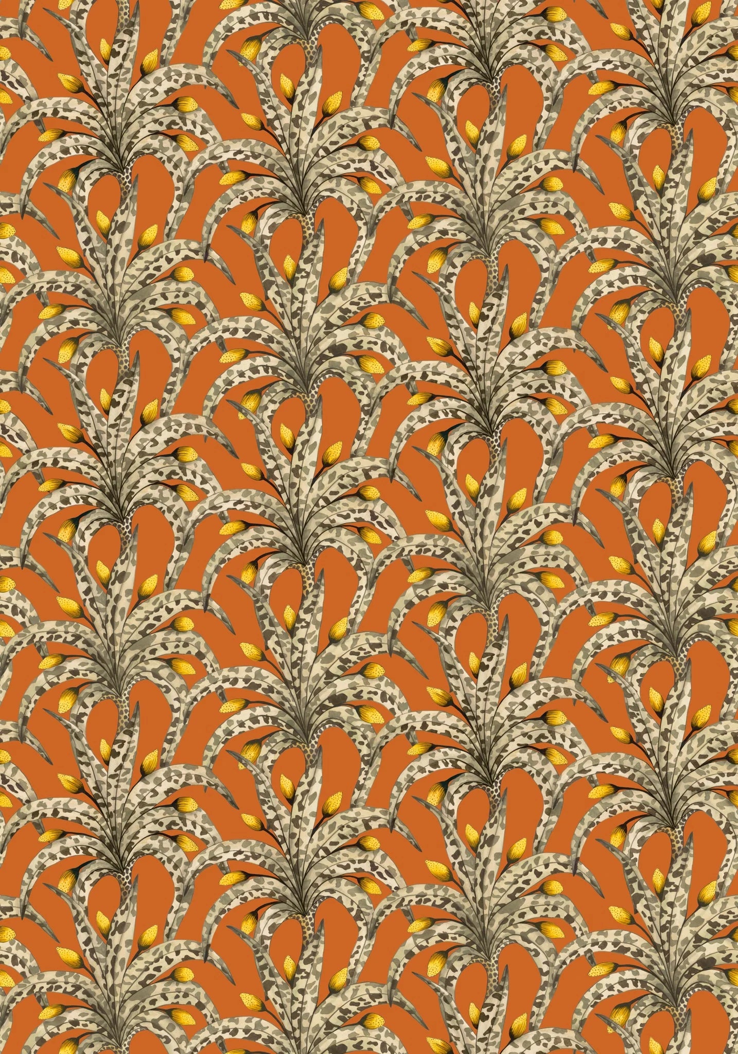 Afrika Damask Wallpaper by Cole & Son