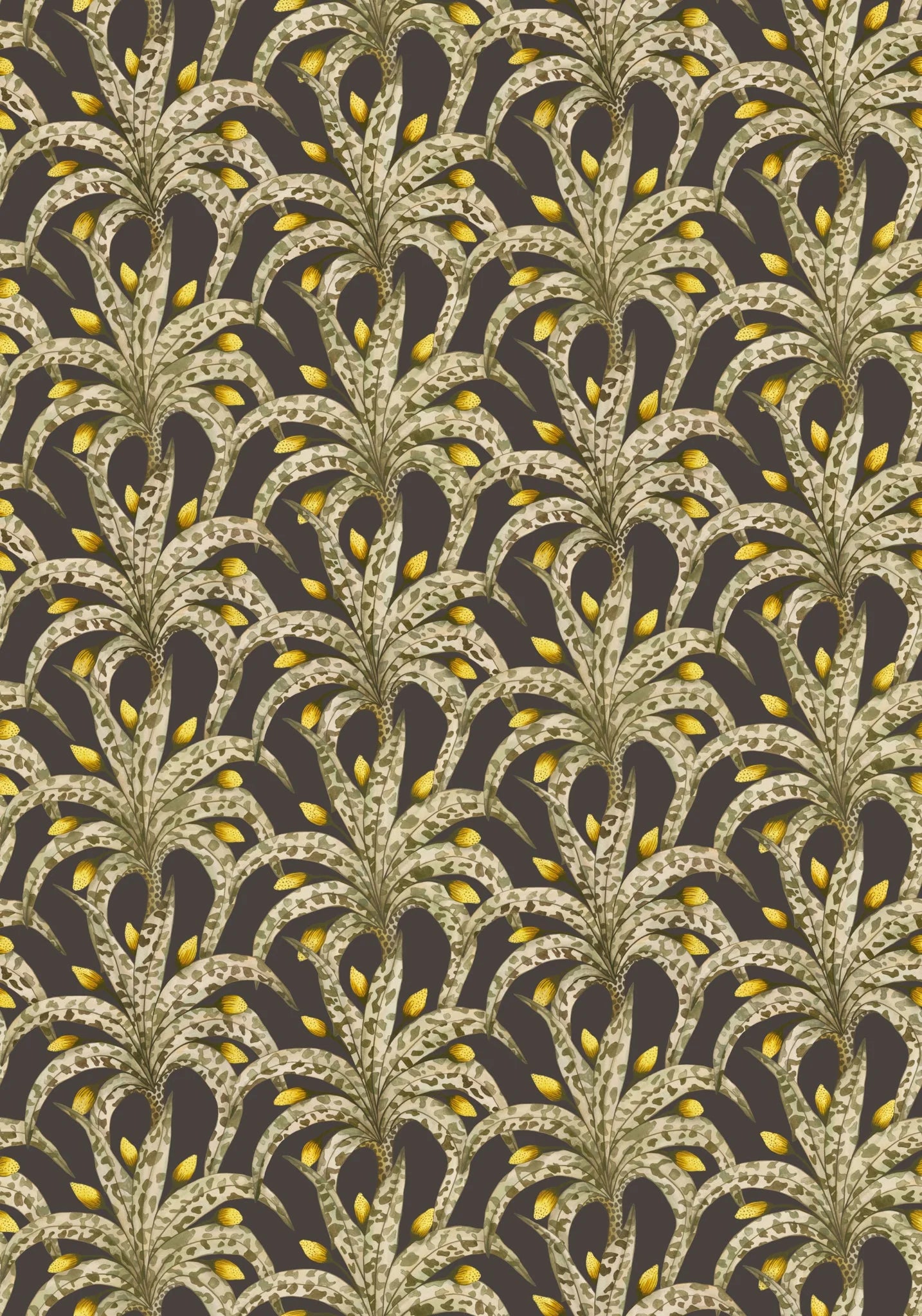 Afrika Damask Wallpaper by Cole & Son