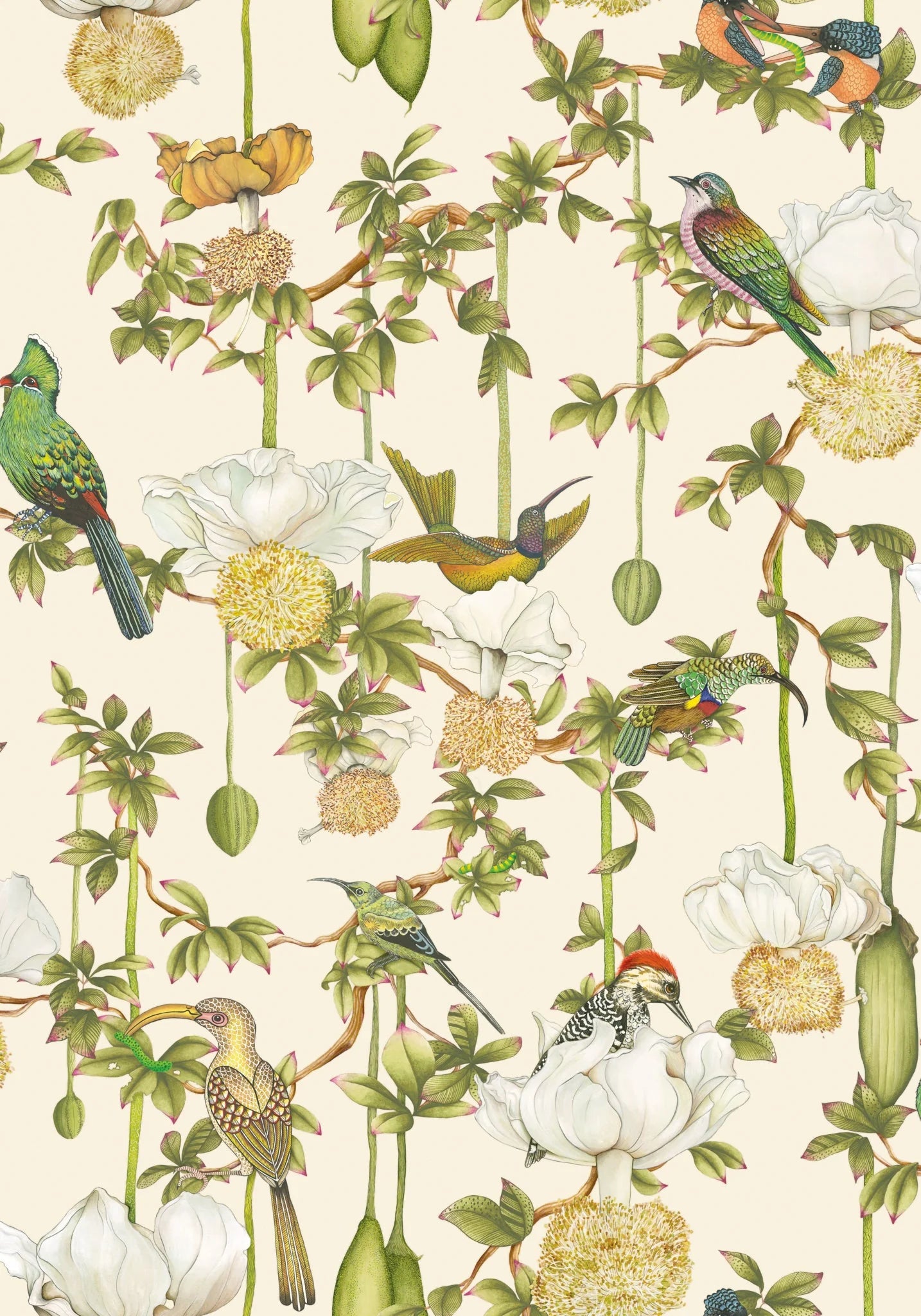 Baobab Botanica Wallpaper by Cole & Son