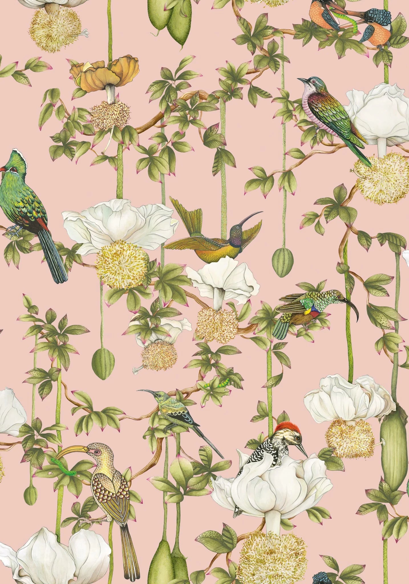 Baobab Botanica Wallpaper by Cole & Son