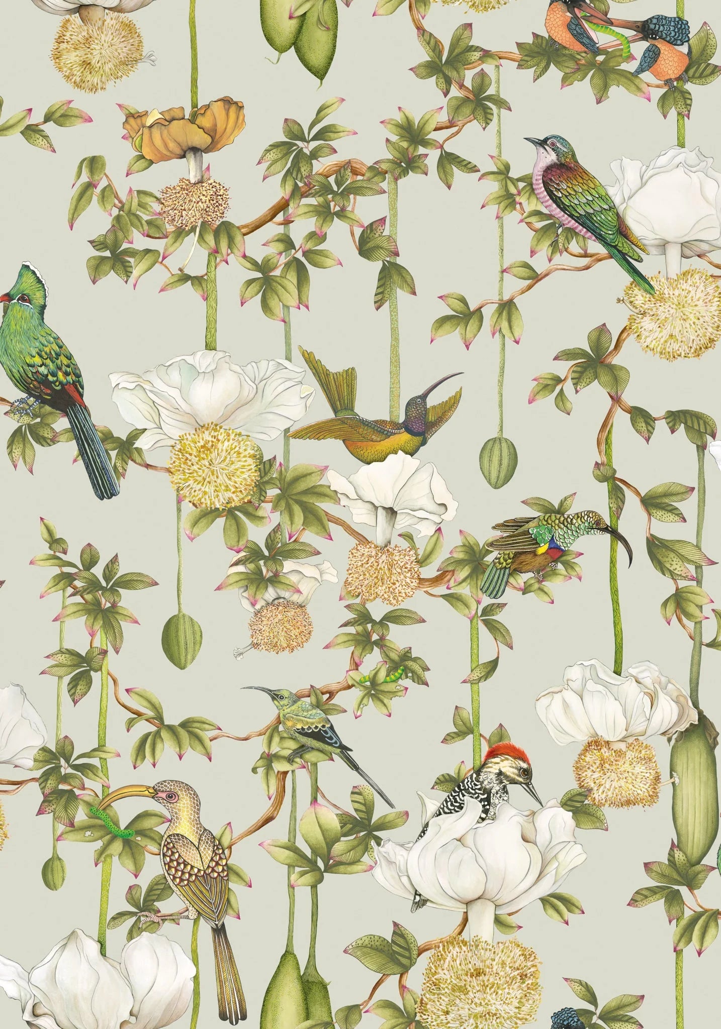 Baobab Botanica Wallpaper by Cole & Son