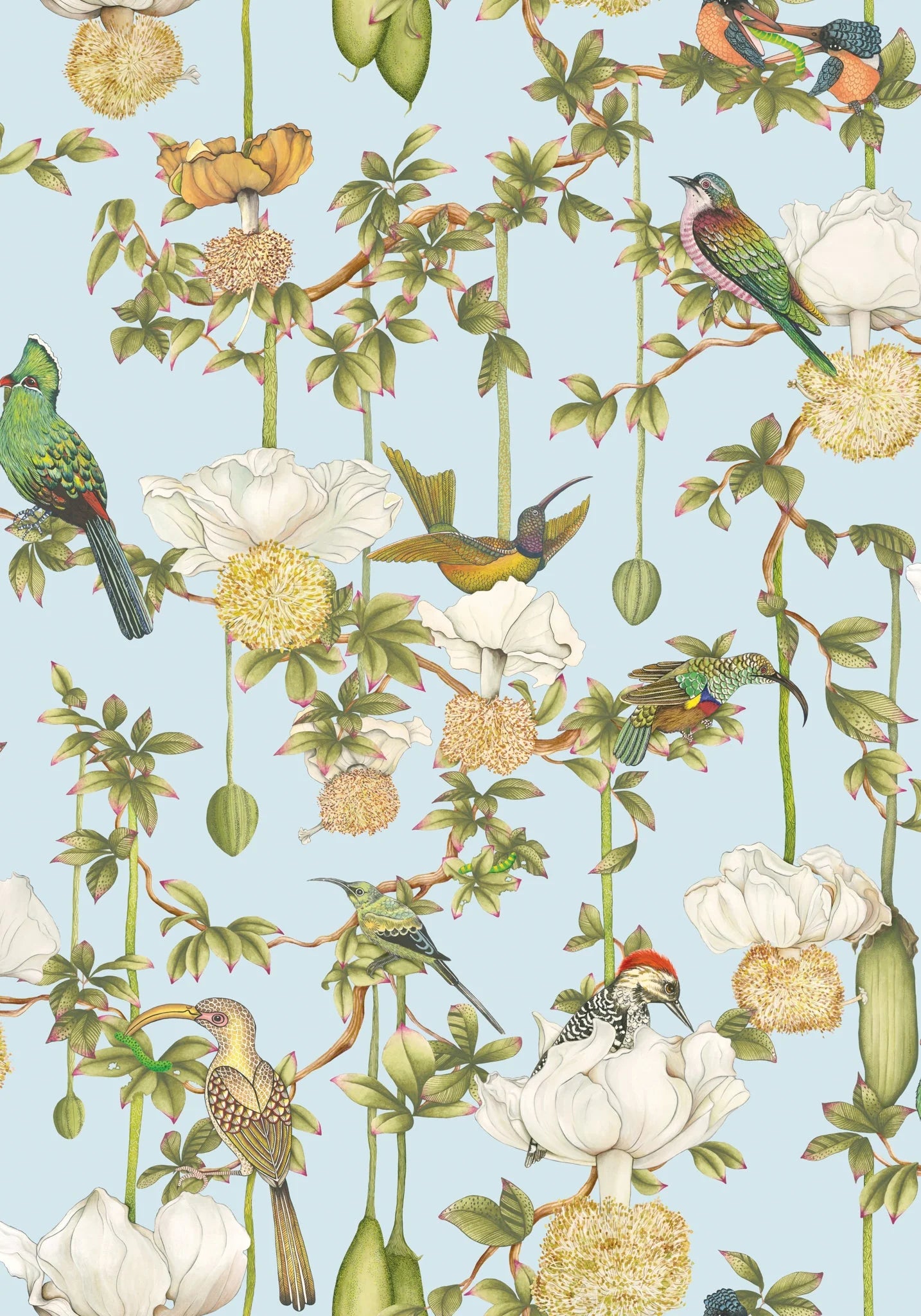 Baobab Botanica Wallpaper by Cole & Son