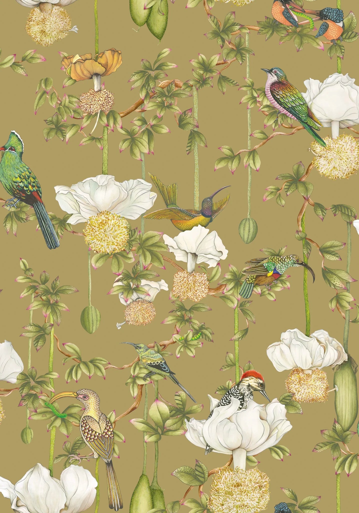 Baobab Botanica Wallpaper by Cole & Son