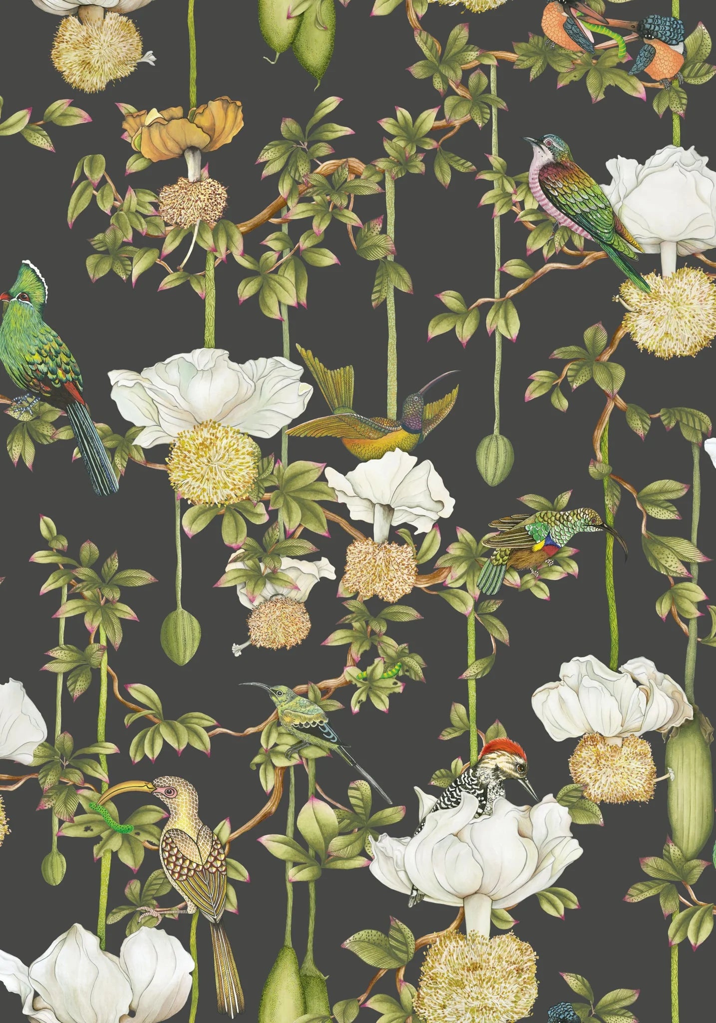 Baobab Botanica Wallpaper by Cole & Son
