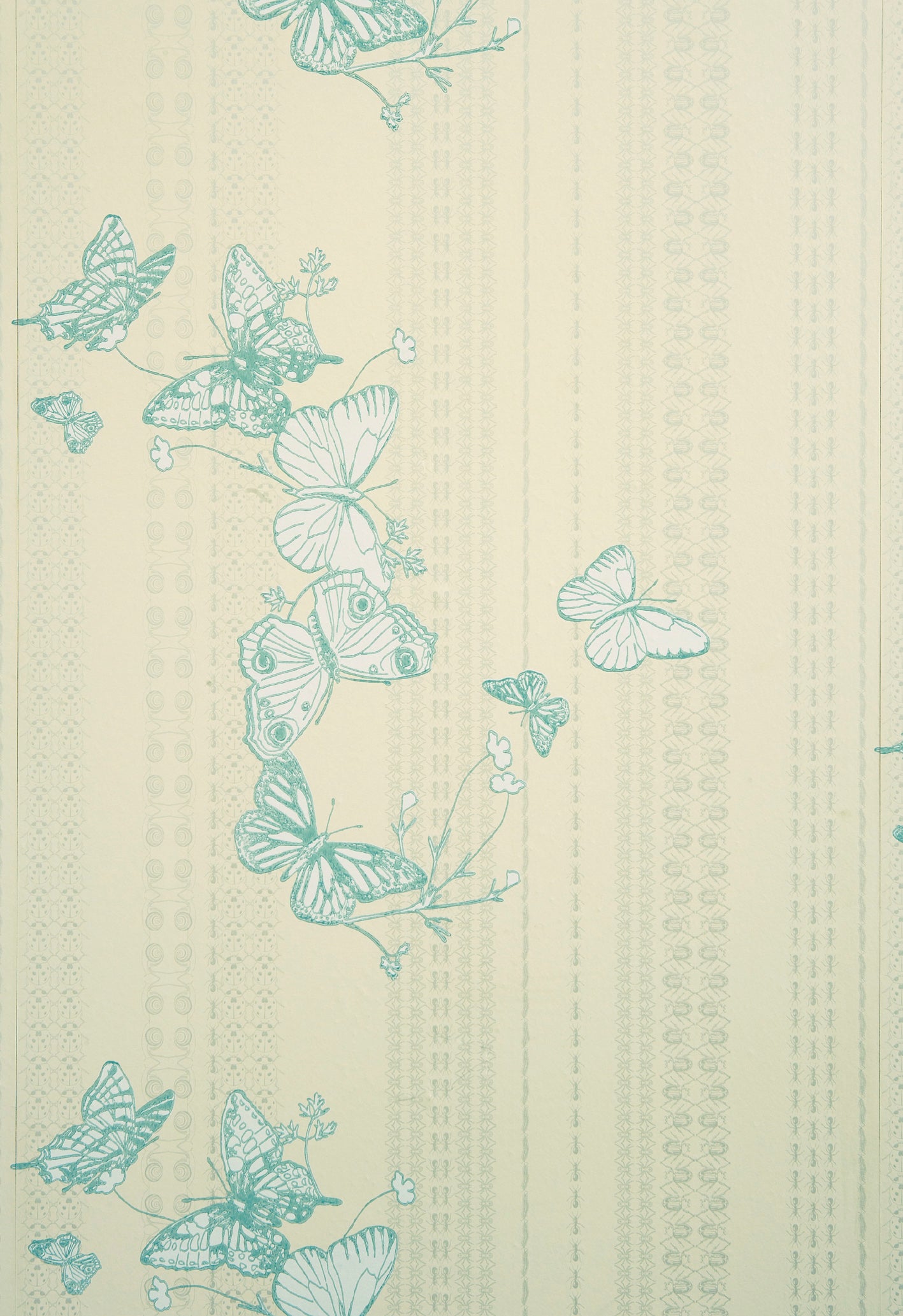 Bugs and Butterflys Wallpaper