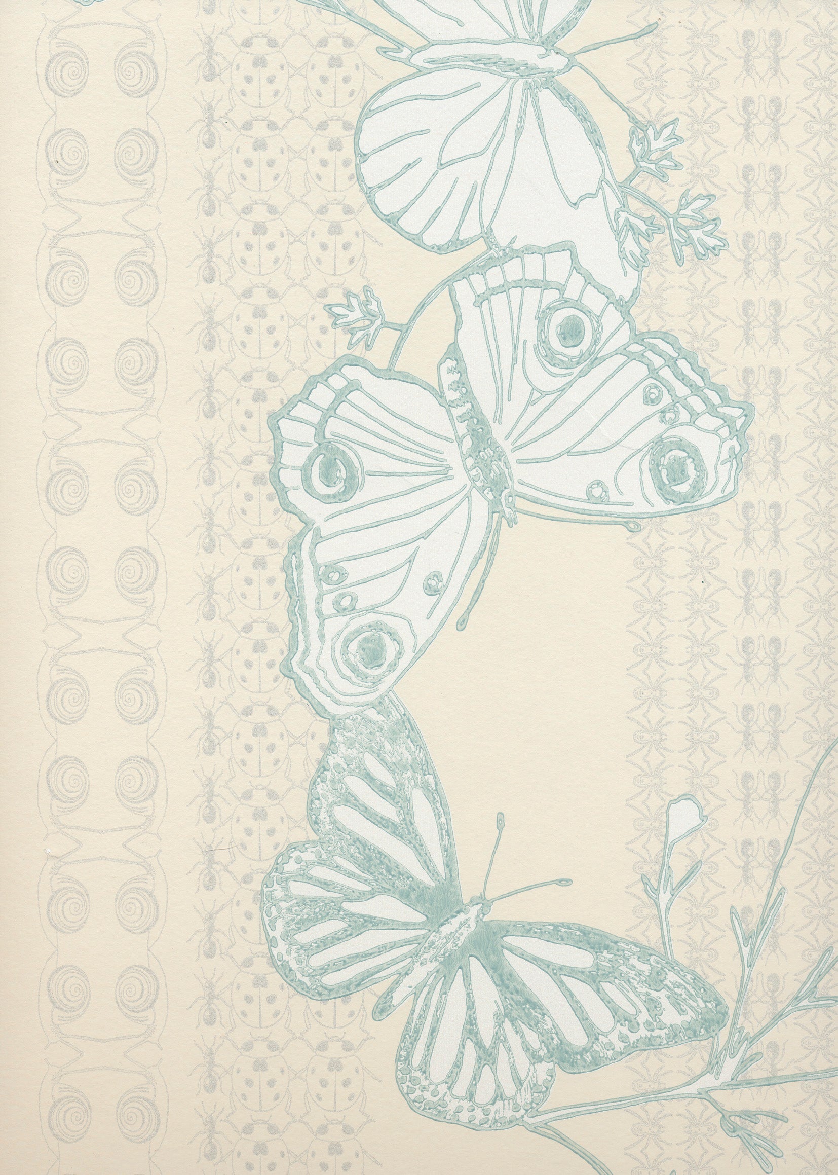 Bugs and Butterflys Wallpaper