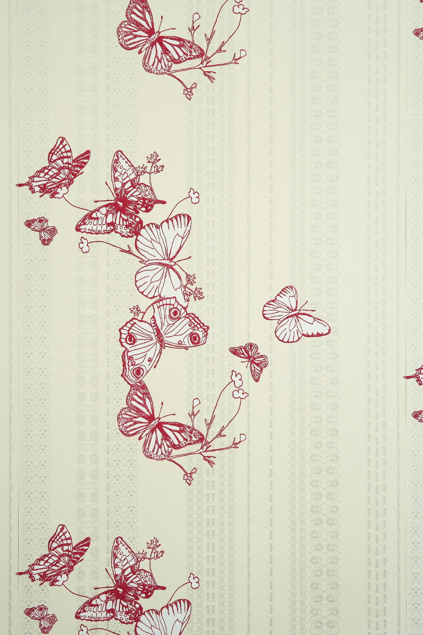 Bugs and Butterflys Wallpaper