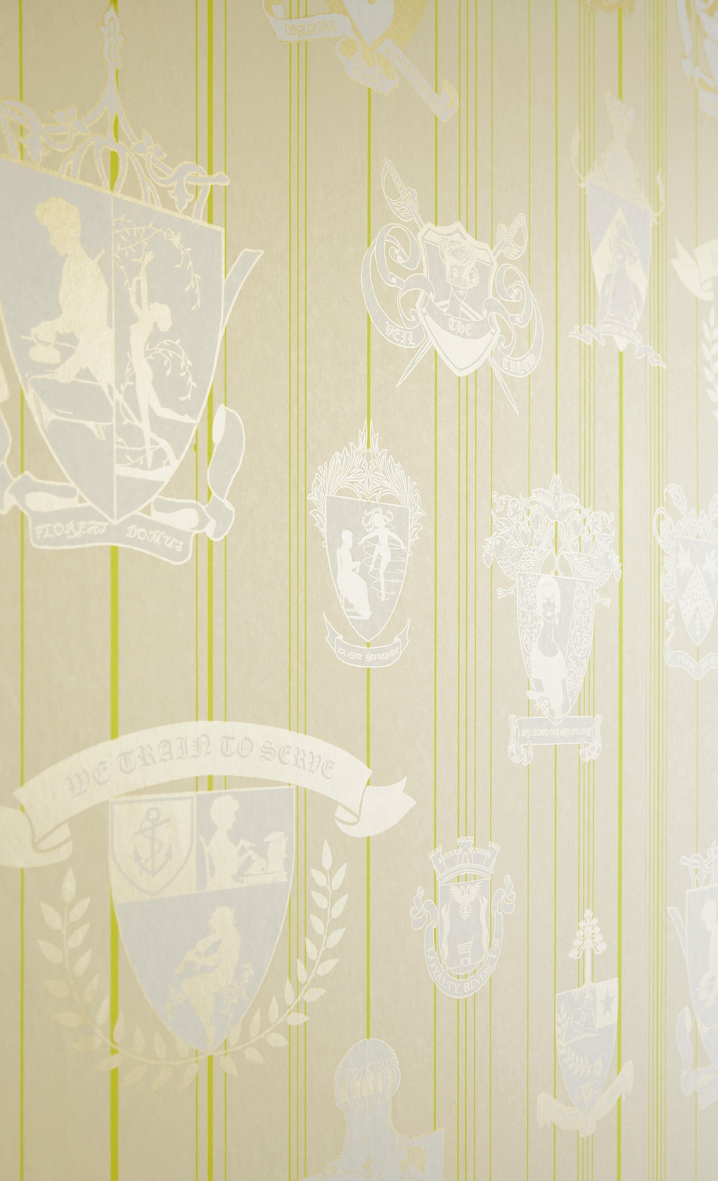 Carpe Noctem Wallpaper