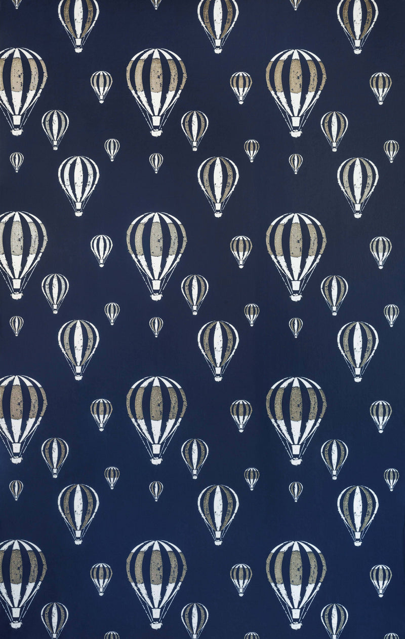 Hot Air Balloon Wallpaper