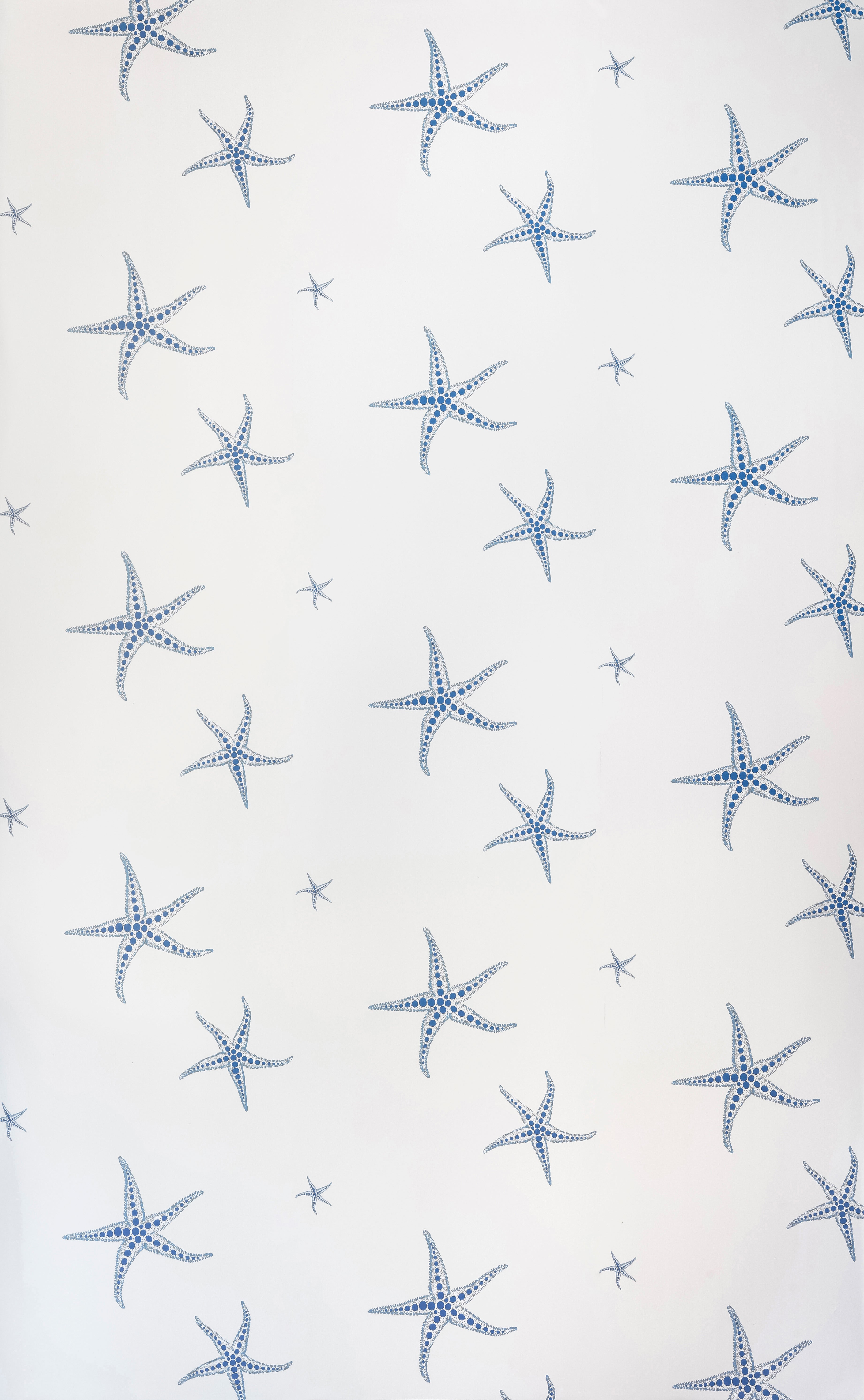 Starfish Wallpaper