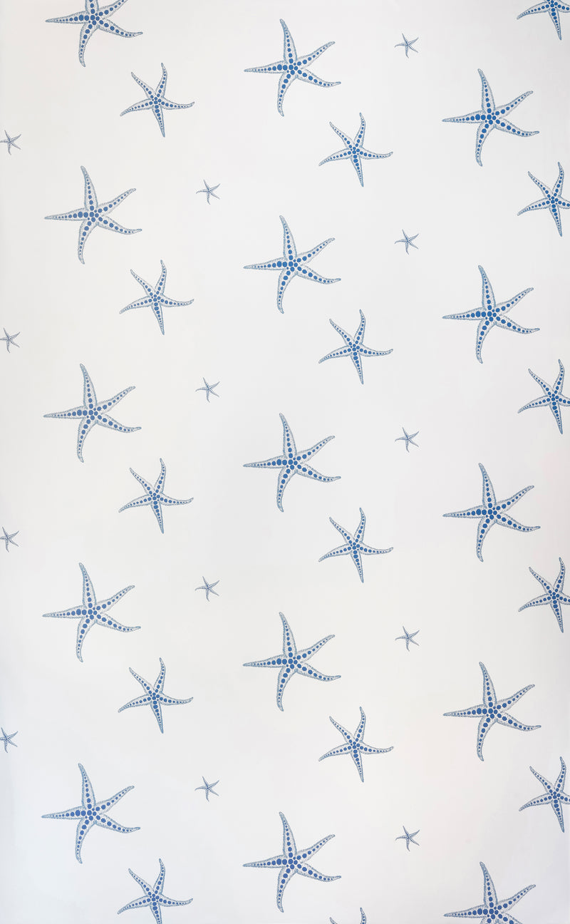 Starfish Wallpaper
