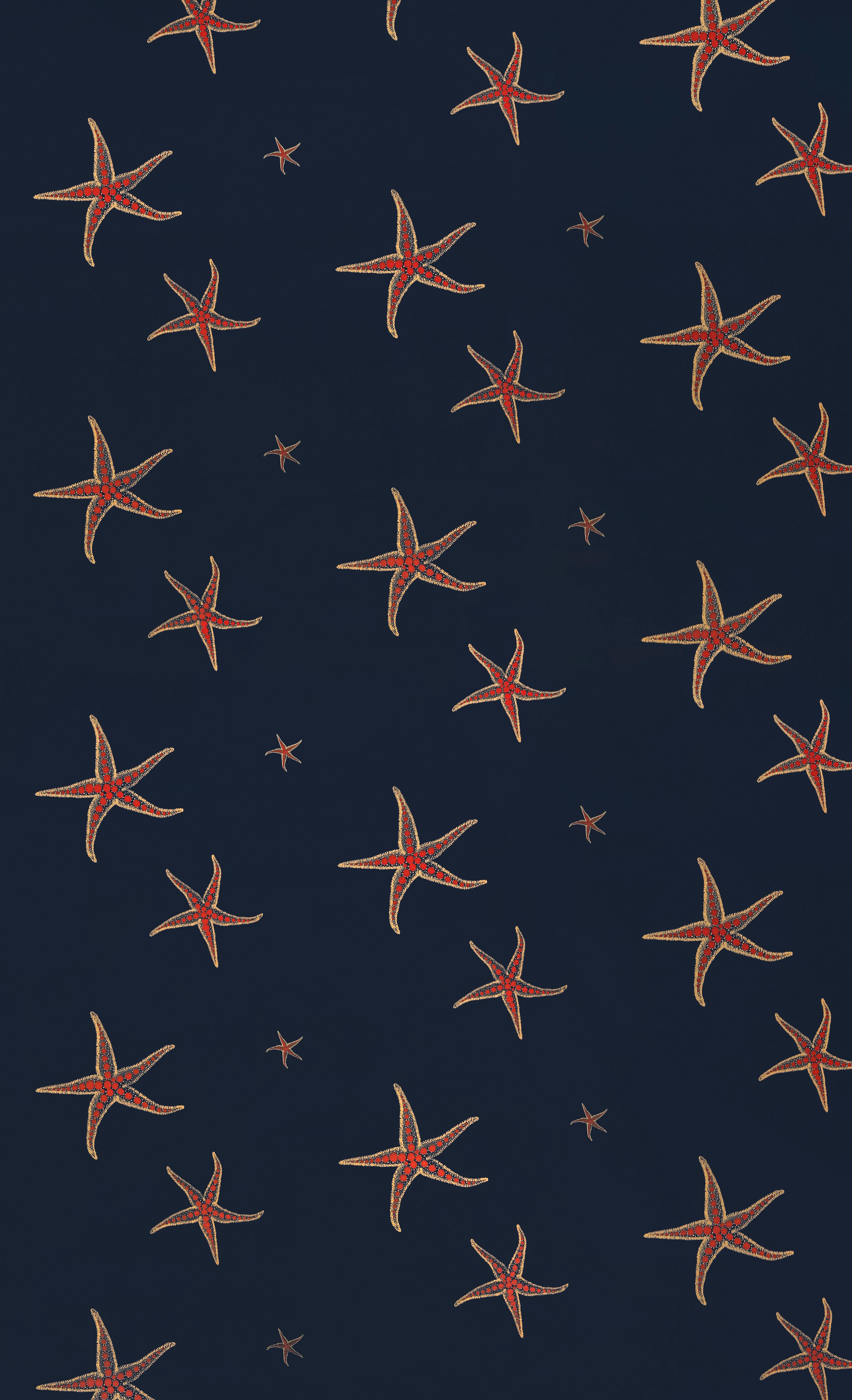 Starfish Wallpaper