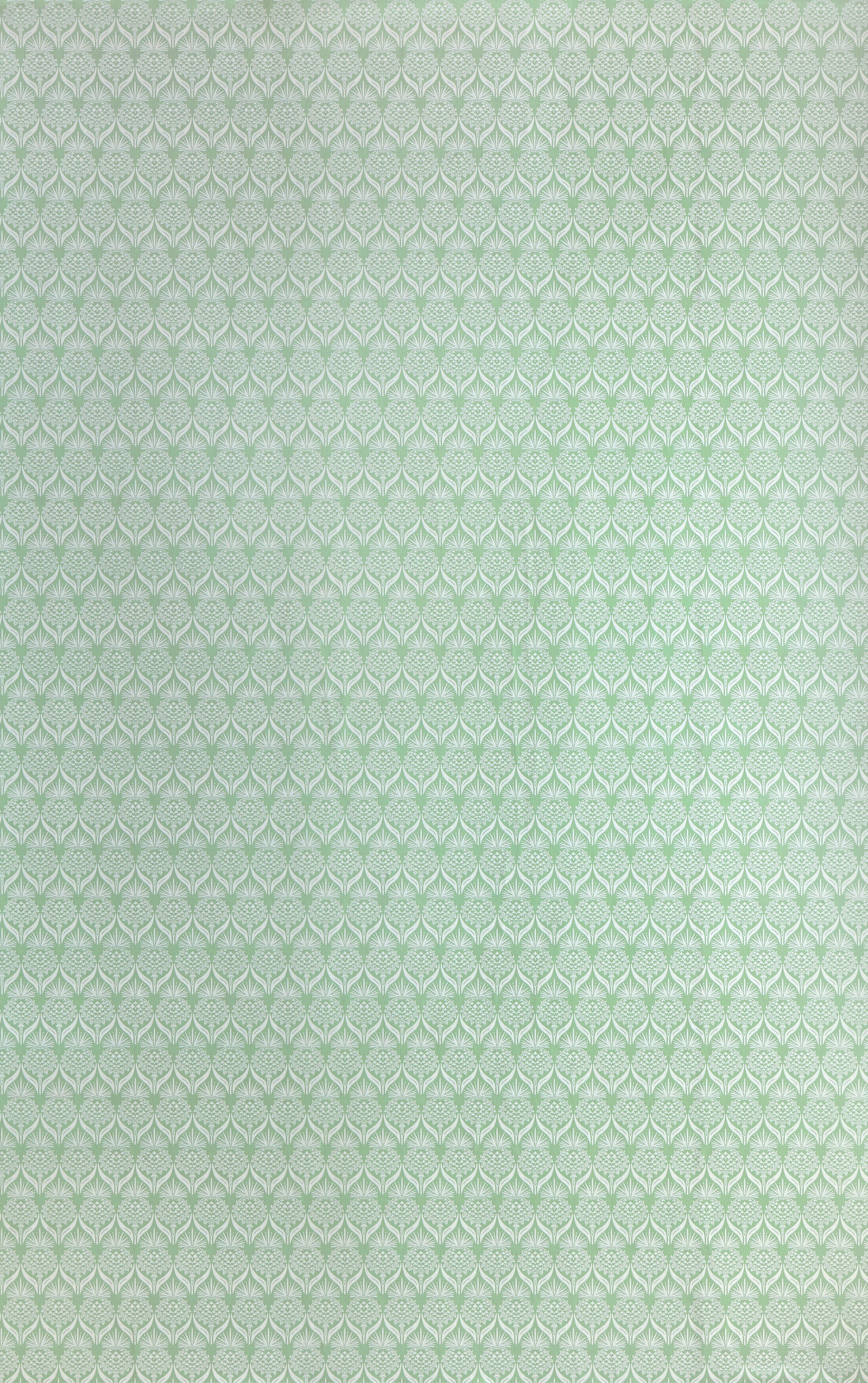 Artichoke Thistle Wallpaper