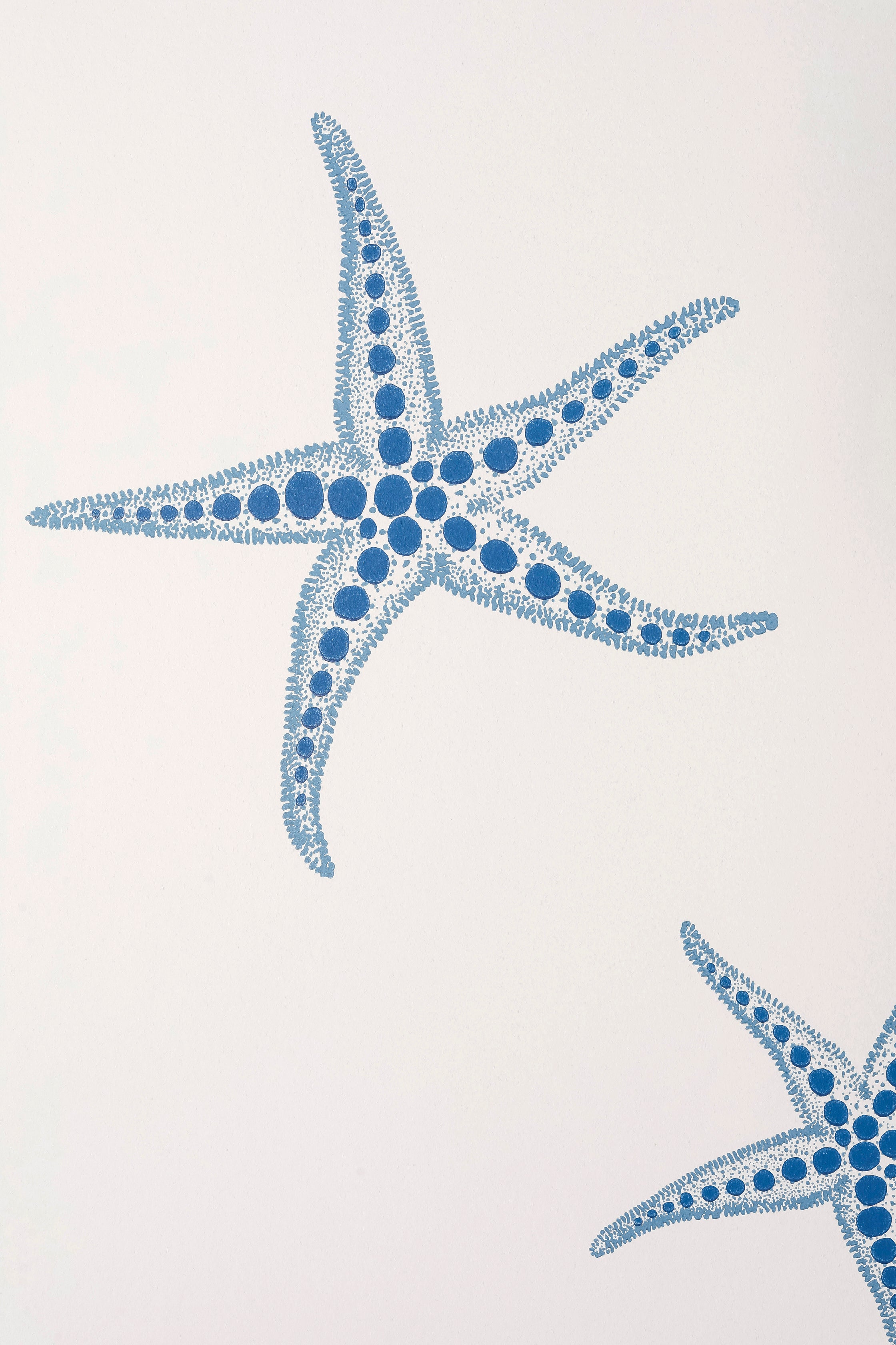 Starfish Wallpaper
