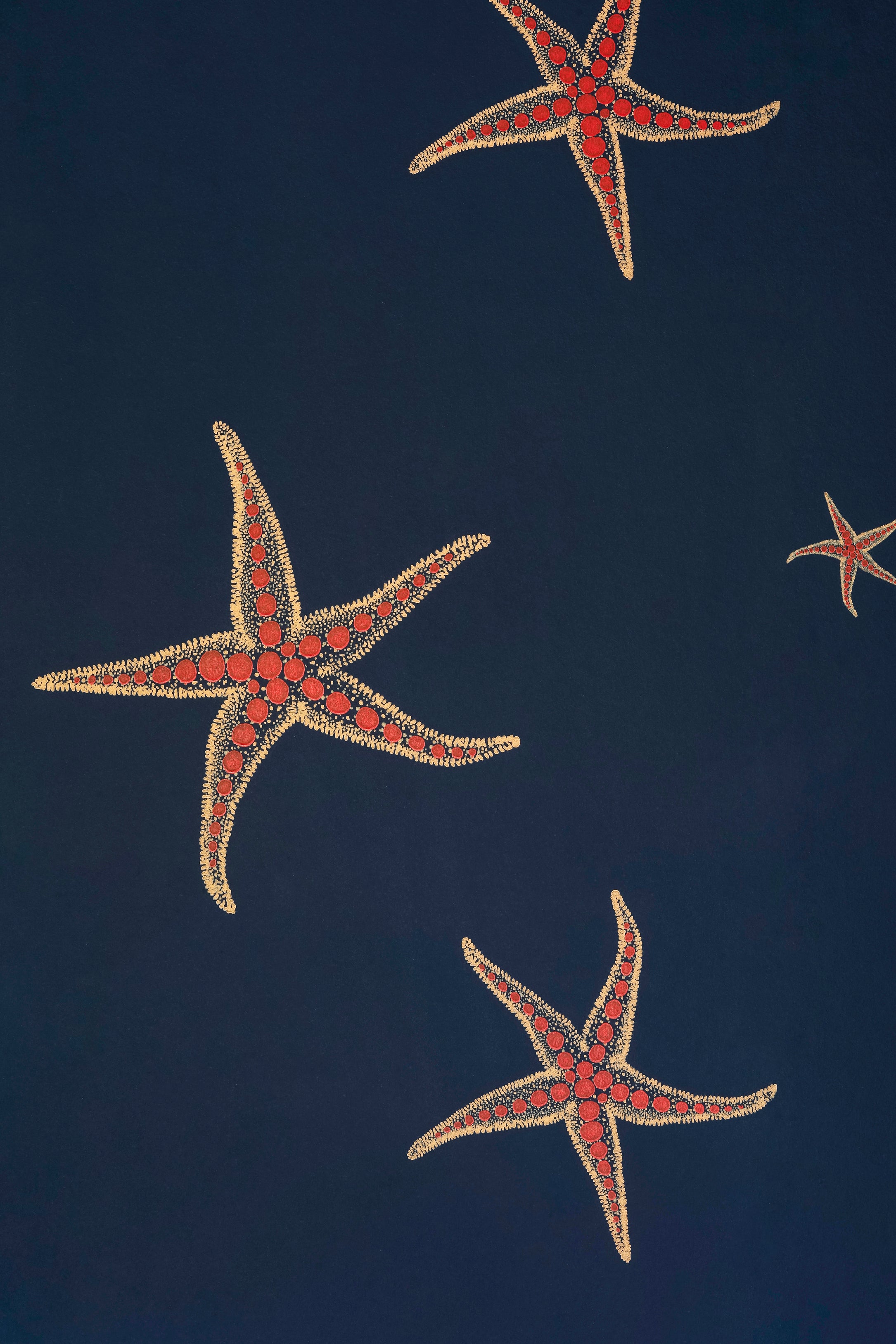 Starfish Wallpaper