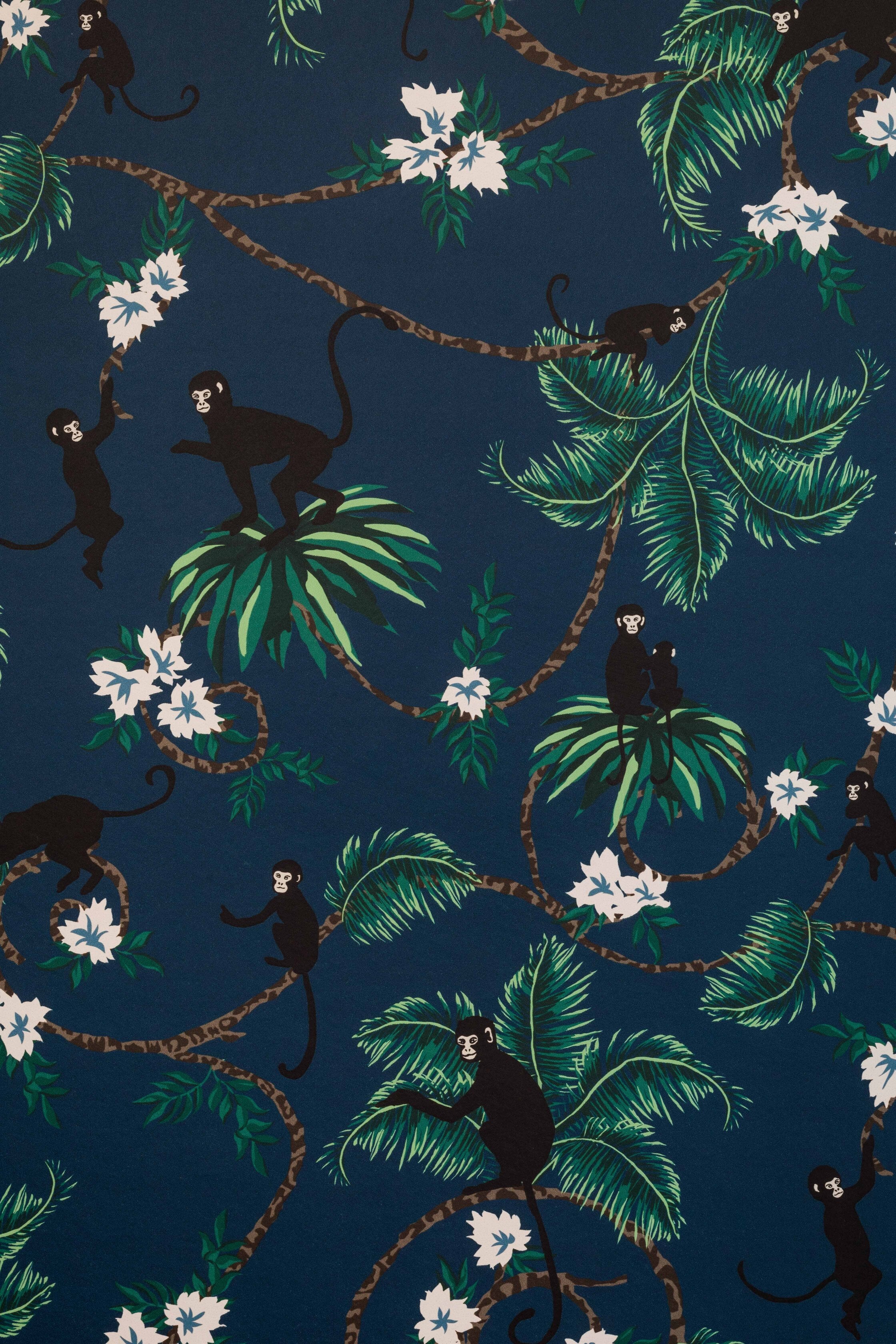 Tabitha Webb - Monkeys for Barneby Gates