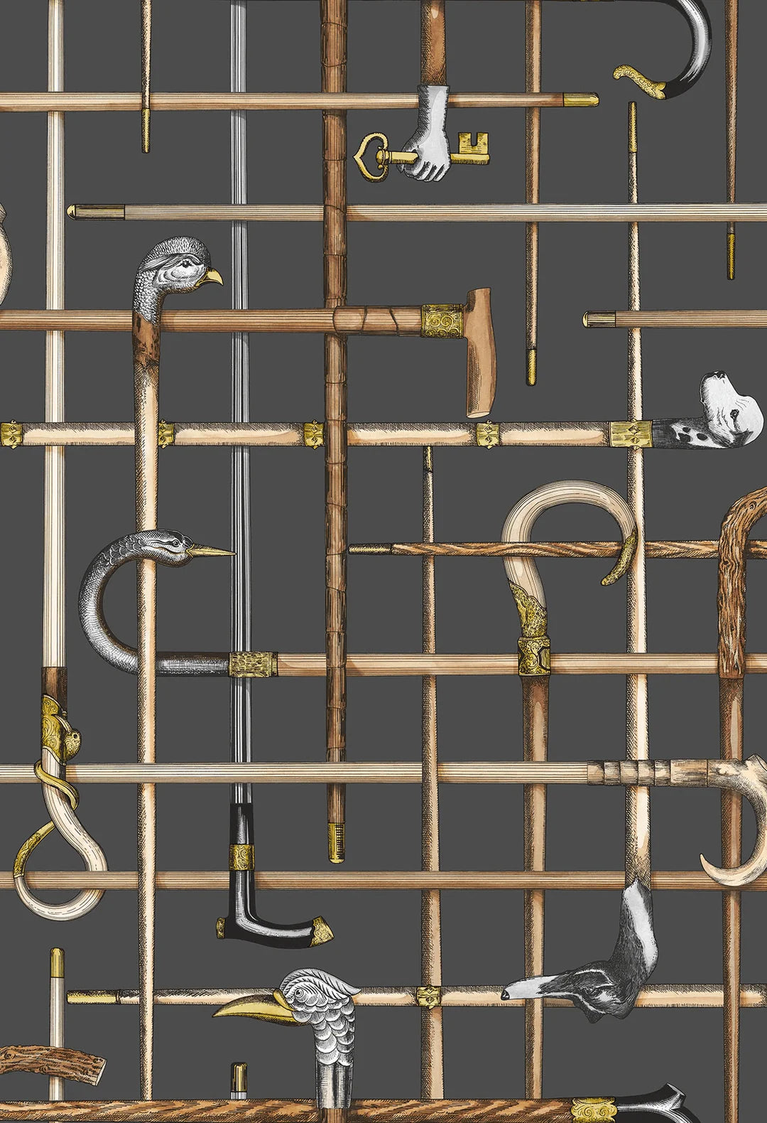 Bastoni Wallpaper by Cole & Son