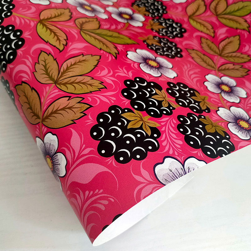 Blackberry Rose Wallpaper