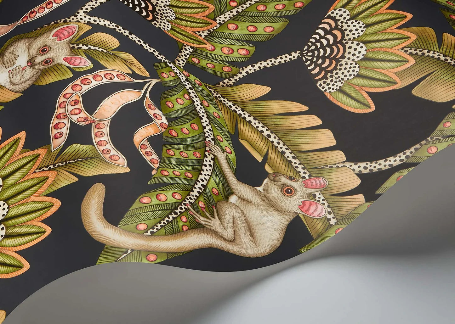 Bush Baby Wallpaper by Cole & Son