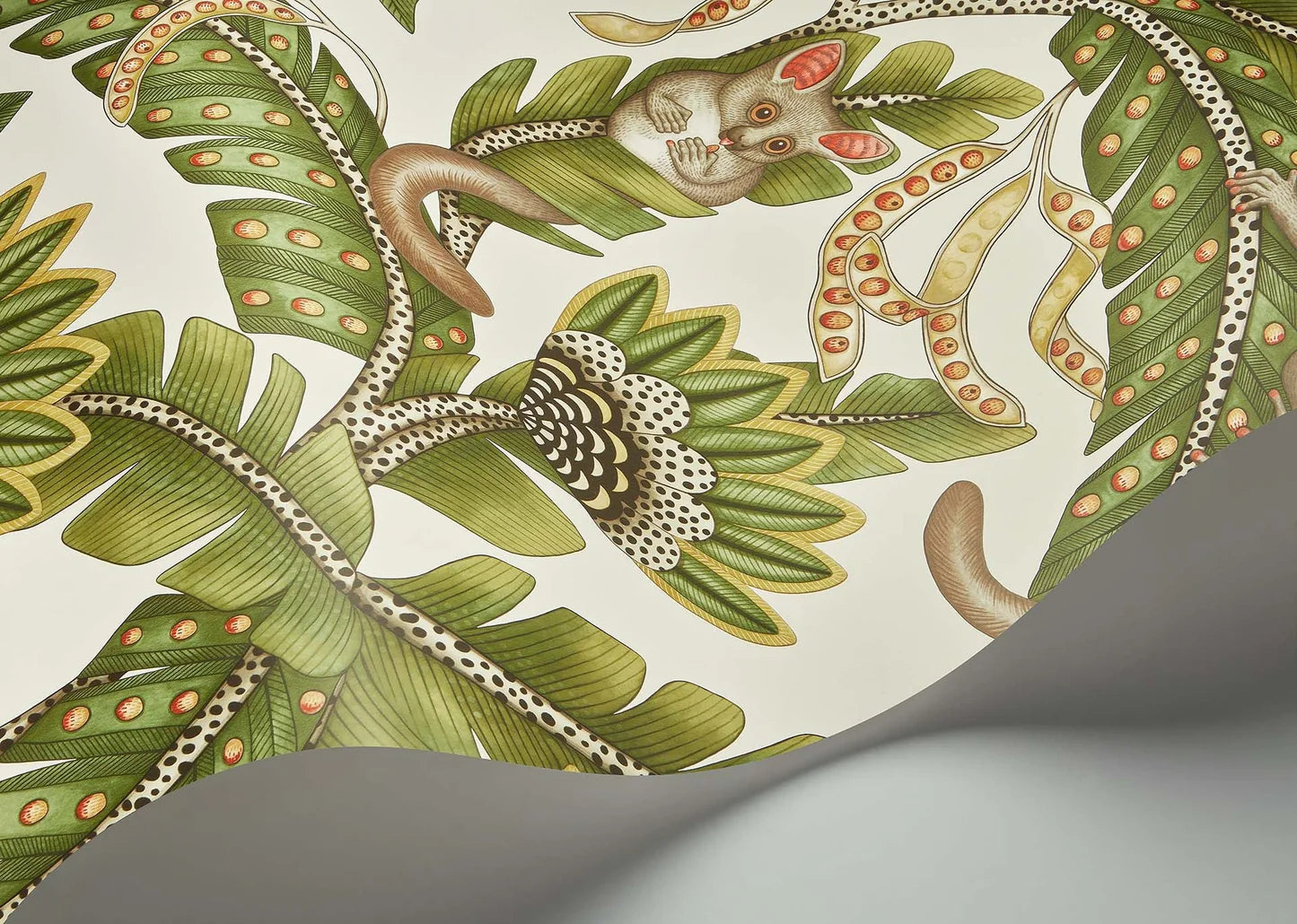 Bush Baby Wallpaper by Cole & Son