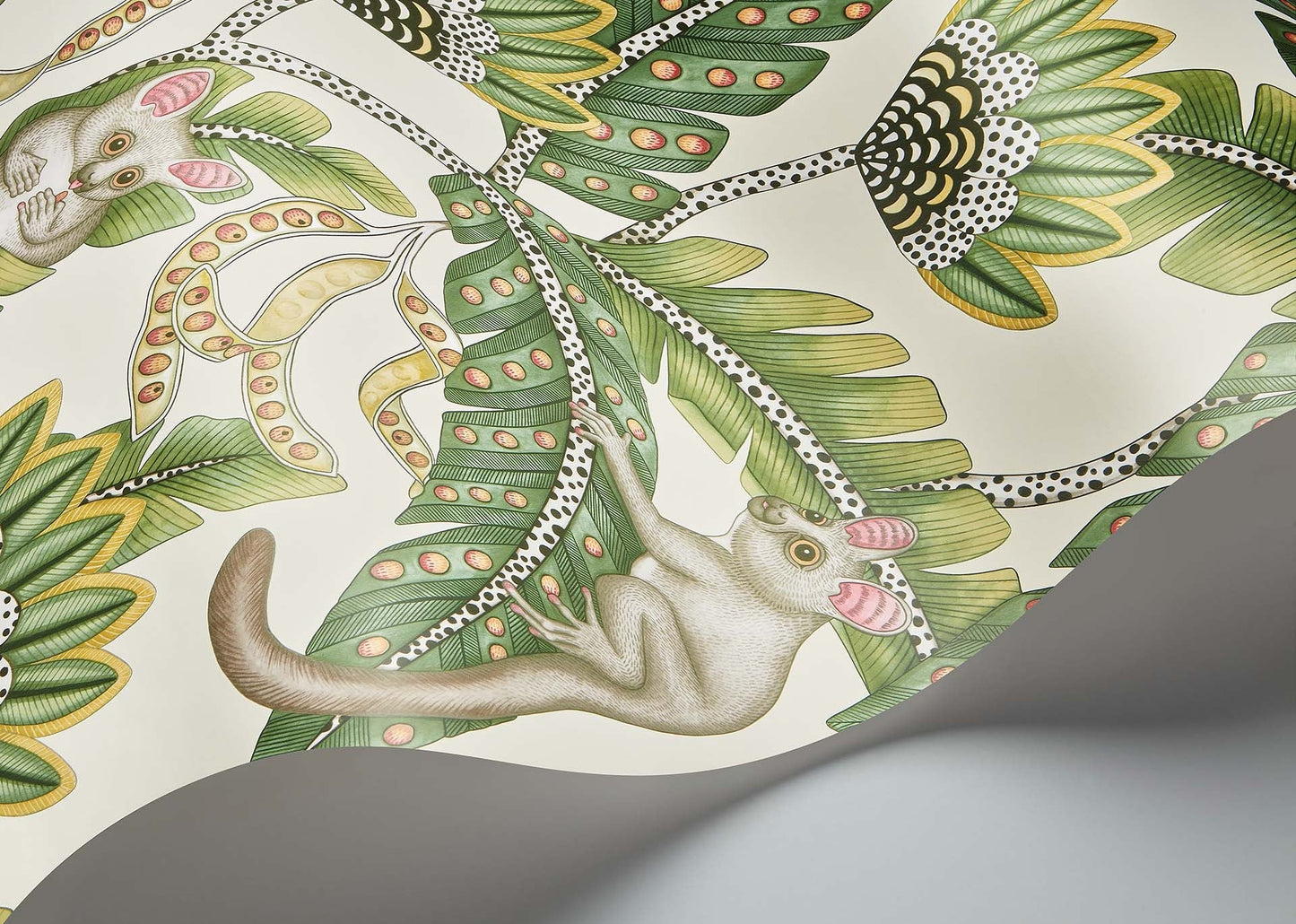 Bush Baby Wallpaper by Cole & Son