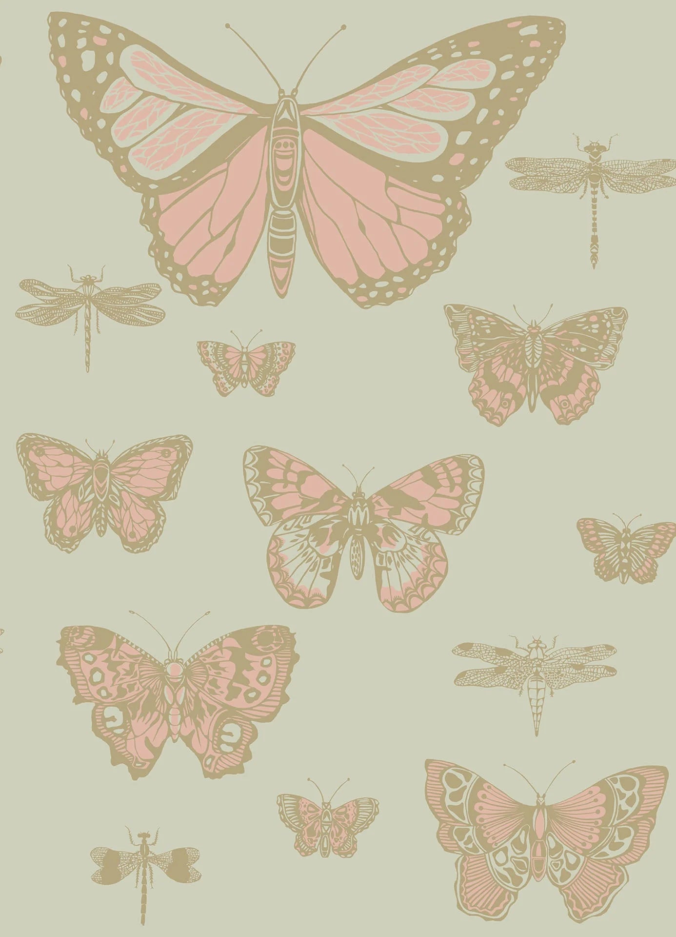 Butterflies & Dragonflies Wallpaper by Cole & Son