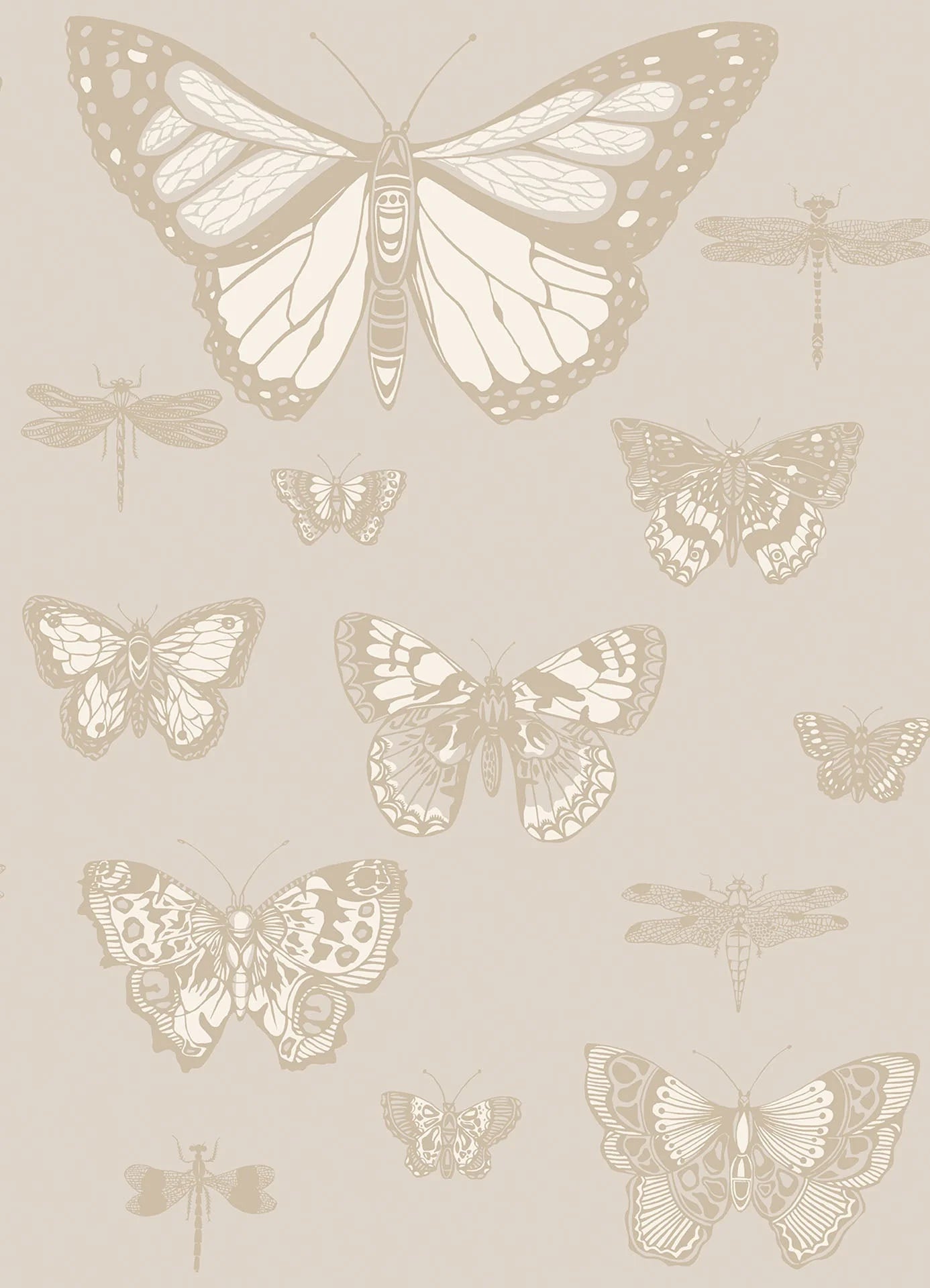 Butterflies & Dragonflies Wallpaper by Cole & Son